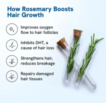 Hair Growth Serum Roll-On 25ml - Rosemary, Redensyl & Argan Oil